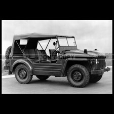 Photo A.037317 AUSTIN CHAMP