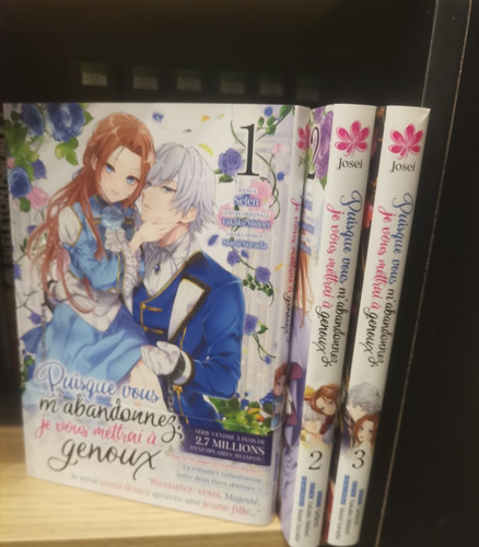 Lot manga puisque - manga, vous