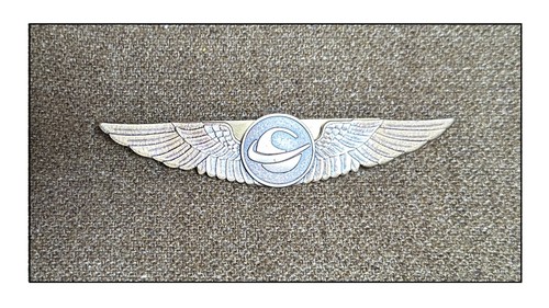Insigne pilote american - pilote,