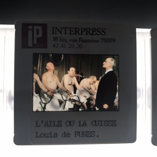 Aile cuisse louis - l’aile,