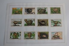 Vignettes ( 12 ) Chocolat
