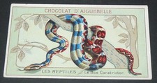 CHROMO 1900-1920 CHOCOLAT AIGUEBELLE MONASTERE DROME REPTILES BOA CONSTRICTOR