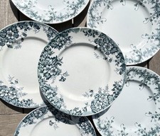 6 Assiettes plates