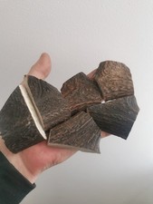 329. Balances en corne de cerf