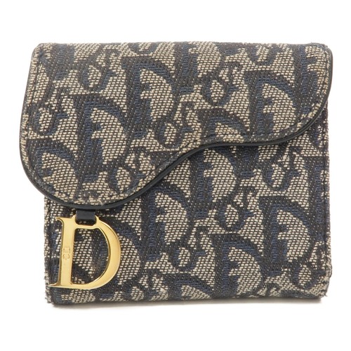 Christian dior ghw - cd, saddle
