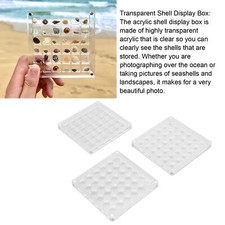 Boîte De Présentation De Coquillages Bibelot Décoratif En Forme &apos;étoile De
