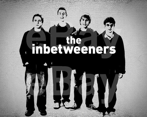 The inbetweeners - the,