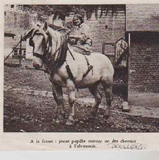 1937  --  DOULLENS   JEUNE