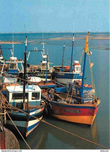 Carte postale cayeux - postale,