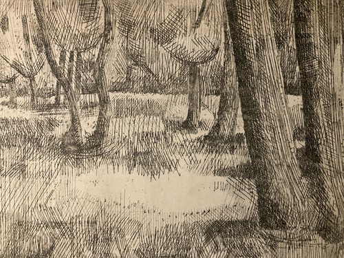 Gravure eau forte - eau, 1950
