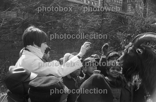 Mireille mathieu exclusive - mathieu,