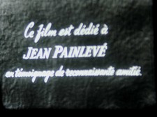 Les aventures d'une mouche