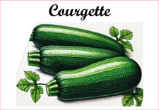 Courgette 12 Etiquettes vinyle