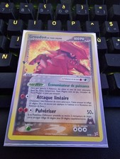 Carte Pokémon Groudon de Team