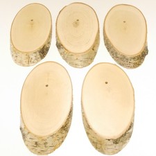 5 Pièce Bouleau Plaque