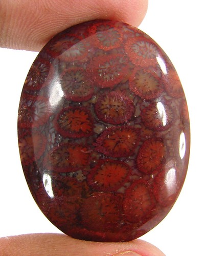 Cabochon pierre corail - cabochon,