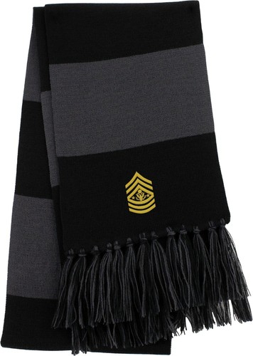 Army sergeant major - e9,