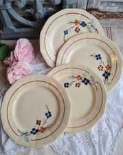 Anciennes assiettes plates - 4,