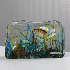 Alfredo Barbini Cenedese Murano sculpture Aquarium 1970s