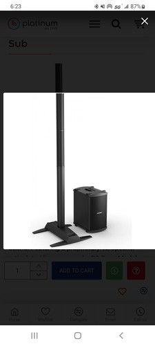 Bose model system with - model, ii