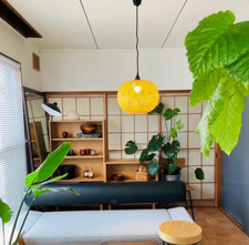 [2P Set] Muji Shade for