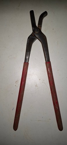 Grande pince tendtre ou - tendtre,
