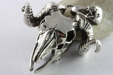 Grande Buffle Buffalo Tête de