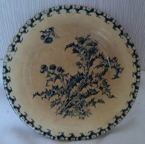 Assiette porcelaine opaque - porcelaine,
