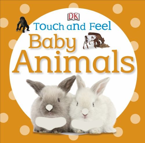 Livres carton animaux - livres,