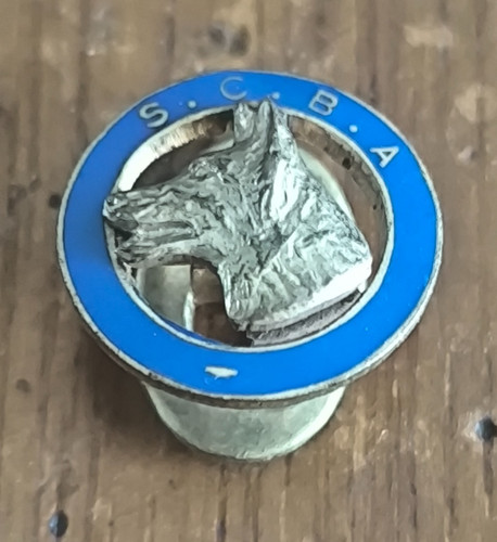 Insigne boutonnière scba - insigne,