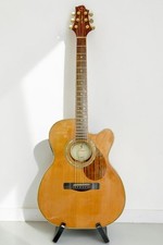 Guitare électrique acoustique