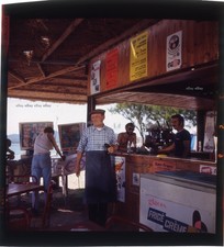 *Bourvil flippers L'arbre de