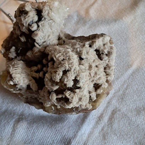 Fluorine très belle - belle,