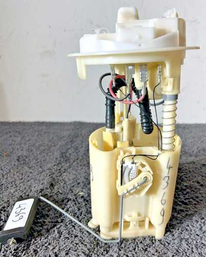 Pompe immergee gavage hdi - immergee,