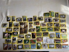 Image panini autocollant - image,