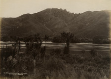 Burton Bros, Nouvelle-Zélande, Waikato Vintage albumen print Tirage albuminé 