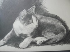 DESSIN AU CRAYON   " le CHAT"