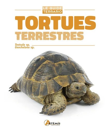 Tortues terrestres j - -,