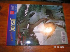 France Bonsaï n°25 Erable Suiseki Ikebana