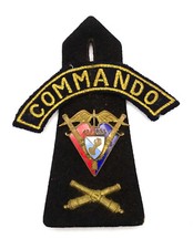 Patte d'Epaule avec Insigne