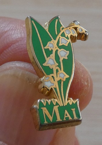Beau pin fleur - fleur, brin
