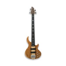 Fretless 5 String Electric
