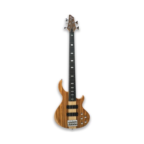 Fretless string electric - fretless, 5