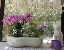 BASSIN BIDET FAÏENCE BLANCHE