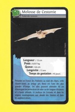 Carte Bioviva! - Molosse de Cestonie