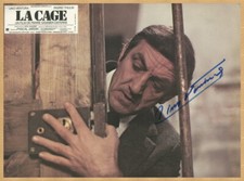 Lino Ventura (1919-1987) - Acteur italien - Rare grande photo signée - 80s