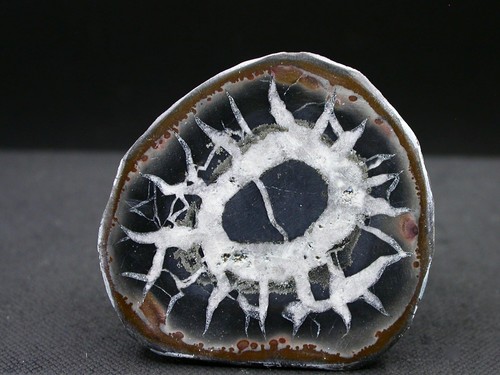 Septaria maroc 8 x 4 - -, 4,8