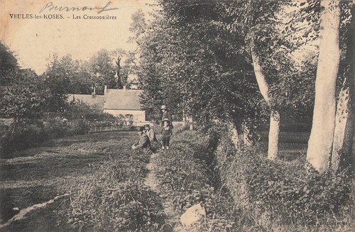 Veules les roses 85230 - les,