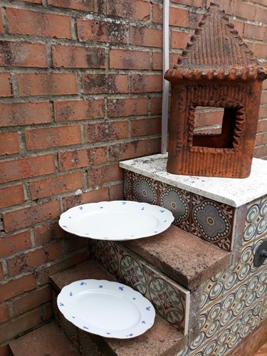 Lot plats service ovales - lot,
