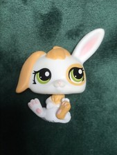 🌺petshop lapin Bélier